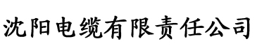 黄瓜视频在线视频免费观看1电缆厂logo